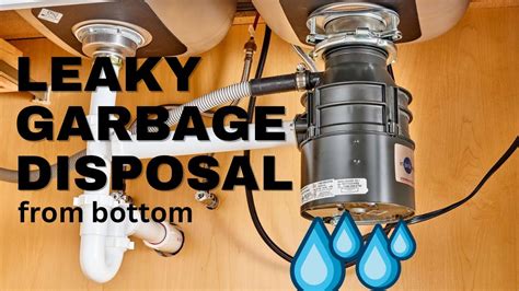 what makes a garbage disposal leak from the bottom|Garbage Disposal Leaking From Bottom 